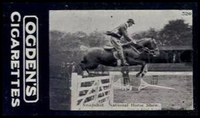 320 Snapshot National Horse Show